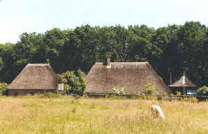 Informatie boerderij de Zoogenbrink Olst