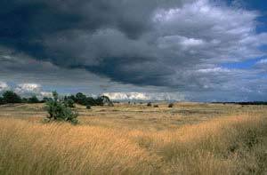 Nationaal Park Hoge Veluwe