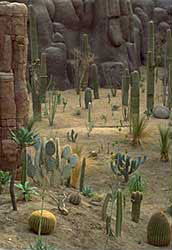 Burgers Zoo Woestijn