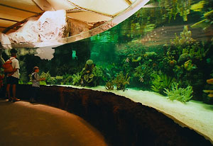 Burgers Zoo Aquarium